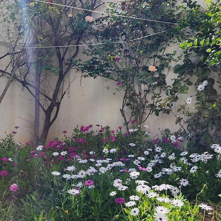 Duplex Bien Equipe Securise Avec Jardin Et Veranda La Marsa Eksteriør bilde