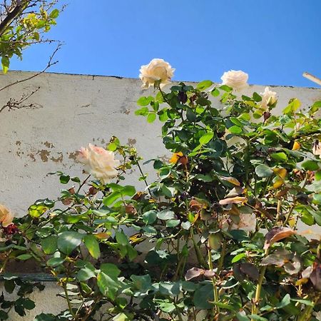 Duplex Bien Equipe Securise Avec Jardin Et Veranda La Marsa Eksteriør bilde