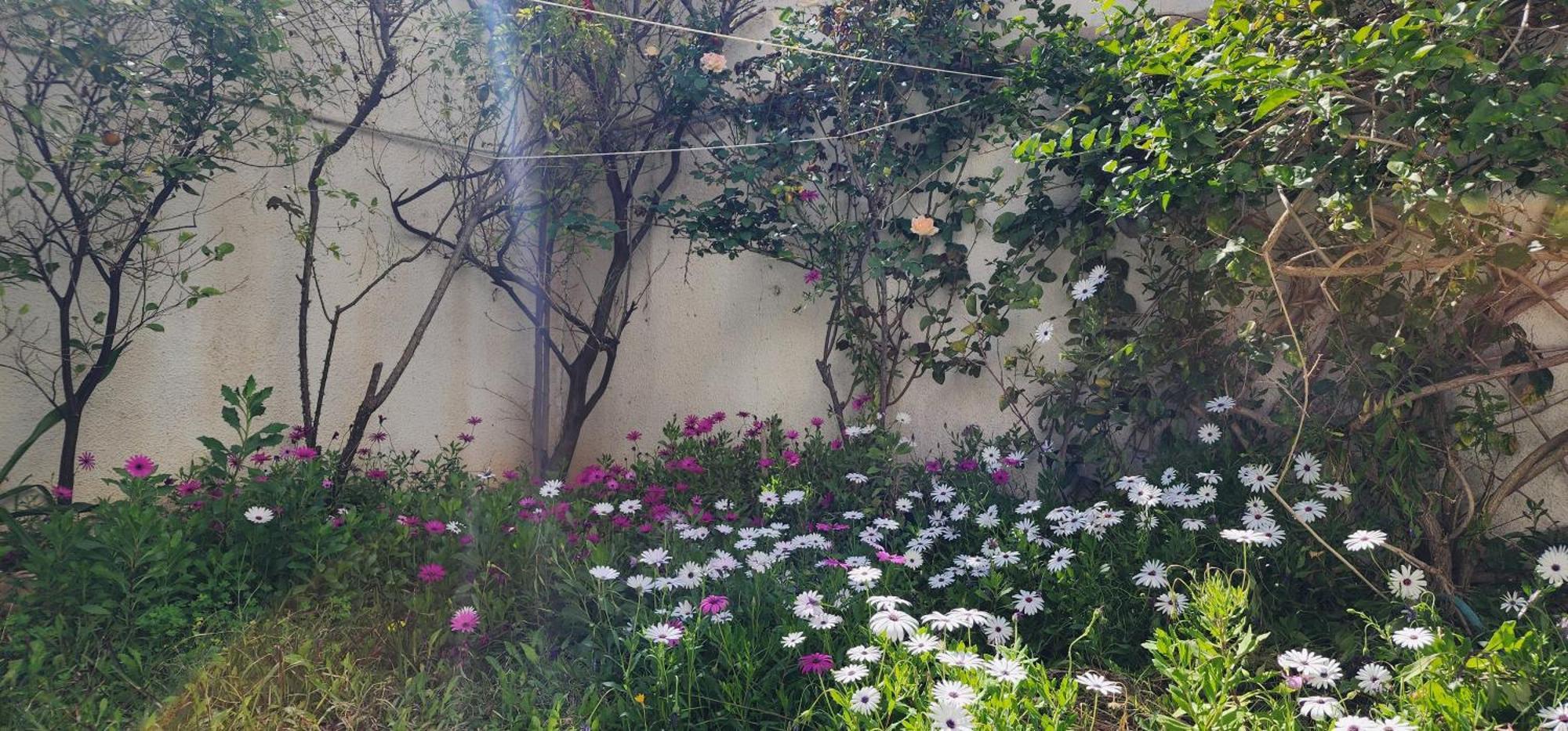 Duplex Bien Equipe Securise Avec Jardin Et Veranda La Marsa Eksteriør bilde