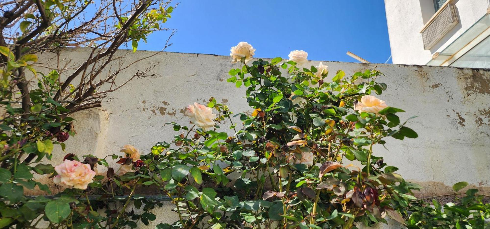 Duplex Bien Equipe Securise Avec Jardin Et Veranda La Marsa Eksteriør bilde